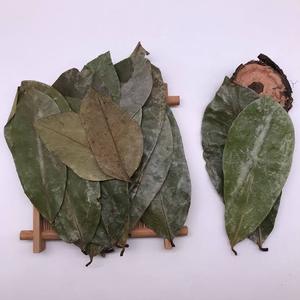 Dried Sousop Leaves Black <b>Tea</b> Organic Non Sugar <b>Tea</b> Bags 24 Months Shelf Life - Product Image 3