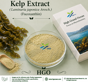 Suministro Directo de Fábrica HGO de Extracto Puro y Natural de Algas (Laminaria japonica Aresch.) Fucoxantina Estandarizada de Grado Alimenticio al 50% - Product Image 1