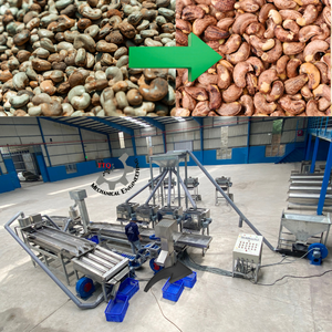 Cashew nut Processing Factory 5-100 Tons/Day Semi-auto Raw cashew nut Food Grade Stainless Steel Manufacturer Vietnam - Product Image 4
