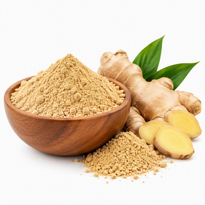 Natural Ginger Powder <b>Spray</b> Dried Fine Powder Organic <b>Plant</b> Extract Food Grade for Food Seasoning Beverage Use Oral Supplements - Product Image 2
