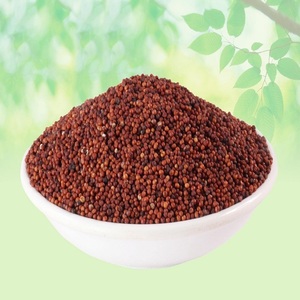 Grains de millet nutritifs pour des recettes de régime sain, des bols de petit-déjeuner et des besoins de pâtisserie, avec une saveur naturelle et une teneur riche en fibres - Product Image 1