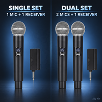 Système de microphone sans fil 2,4 GHz FYX Stock, un émetteur, deux récepteurs, son de scène professionnel, karaoké à domicile, diffusion en direct