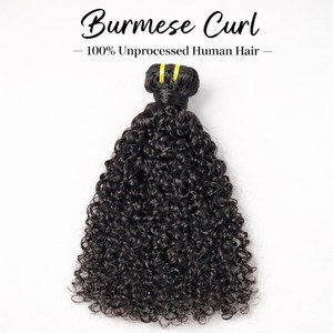 Lot de Cheveux Bouclés Birmans en Gros, Cheveux Humains Vietnamiens Alignés dans le Sens de la Cuticule, Direct Usine - Product Image 5