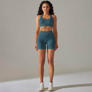 Nouveautés : Ensembles deux pièces décontractés sans couture pour femmes grandes tailles, avec logo personnalisé, design halter uni, soutien-gorge de yoga et short pour la course, la gym et le fitness - Product Image 1