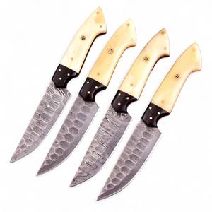 Cuchillos de Cocina Hechos a Mano de Acero de Damasco, Hoja Entera, Ligeros, Ambidiestros, Acabado Cepillado, 4.5 Pulgadas, para Uso Diario, Restaurantes, Cocina al Aire Libre y Barbacoa - Product Image 1