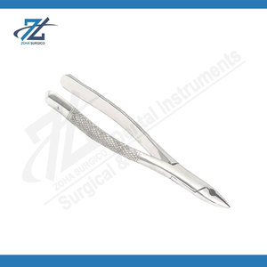 Forceps d'extraction dentaire n° 101 pour bicuspides supérieurs et inférieurs, dents laitières, instrument d'extraction en acier inoxydable, fabriqué au Pakistan - Product Image 6