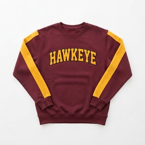 Sudadera Casual para Hombre HAWK EYE SPORTS, Nueva Moda Otoño, Forro Polar de 350g, Impermeable, Estampado, Hombros Caídos, Corte Regular, Cuello Alto - Product Image 5