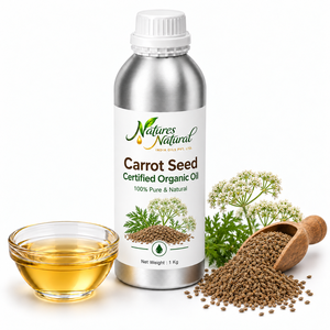 <b>Carrot</b> Seed Certified Organic Cold Pressed 100% Pure Essential <b>Oil</b> Aromatherapy <b>Oil</b> Wholesale Bulk Supplier Exporter - Product Image 1