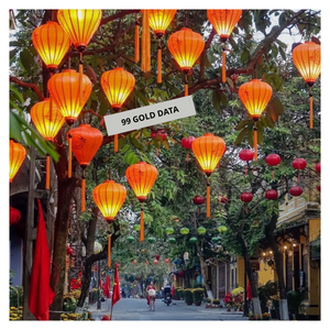 Farol de Bambú de Diseño Retro Hecho en Quang Nam, Farol Artesanal Ecológico de Hoi An para Graduación y Navidad, Varias Formas - Product Image 2