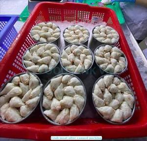 Viande de crabe vietnamienne de qualité supérieure : Meilleurs prix d'exportation en gros / John - Product Image 3
