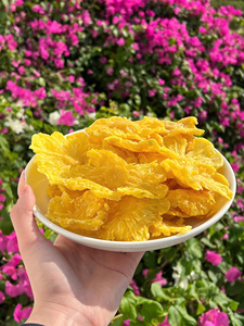 Anneaux d'ananas déshydratés, collation naturelle et saine, en vrac, fournisseur vietnamien, nouvelle récolte 2026 - Product Image 6