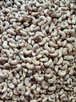 Vietnamese Oorsprong Biologische Pure Geroosterde Cashewnoten - Premium Kwaliteit Hoog Eiwitgehalte Voedsel Groothandel - Snelle Wereldwijde Verzending