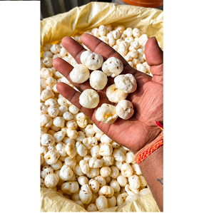 Makhana Súper Premium de Primera Calidad, Seleccionada a Mano, Dulce, Seca, Ligera, Crujiente, Baja en Grasa, Snack a Granel, Origen Hindú, Exportador - Product Image 1