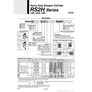 Produit de cylindres de haute performance de cylindre de bouchon de RS2H50-30DL résistant de SMC Pneumatics - Product Image 2