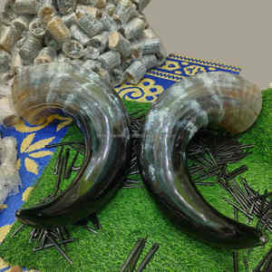 Coupe à boire en corne de bœuf Viking de qualité supérieure, faite à la main, écologique, au meilleur prix - Product Image 3