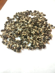Graines de coton entières de qualité supérieure pour l'alimentation du bétail, fournisseur en gros - Product Image 5