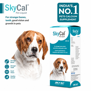 SkyCal Pet Liquid Calcium Phosphorus Vitamin D3 B12 Supplement for Dogs Bone Vision Support Lid 200ml All Breeds All Life Stages - Product Image 2