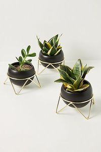 Decorative Modern Iron Powder Coated Eco-Friendly Durable Lightweight Plant Stand Drainage Hole <b>Hanging</b> Option Home <b>Garden</b> - Product Image 1