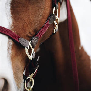 Cabestro de polo para uso en campo, construcción duradera para un manejo seguro, entrenamiento, control estable y cuidado ecuestre diario. Fabricación de calidad. - Product Image 4
