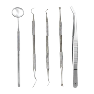 Kit d'hygiène bucco-dentaire 5 pièces en acier inoxydable, grattoir à tartre, miroir, curette, pince, instruments de nettoyage dentaire certifiés CE - Product Image 2