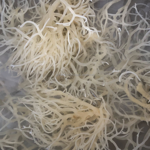 Alga Marina Kappaphycus Alvarezii (NORI) Seca Premium - Humedad 14% - Empaque en Bolsa Sazonada - Alta Calidad - Exportación de Vietnam - KIM MINH INTL - Product Image 4