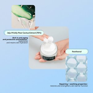 Crème hydratante pour le visage YADAH Cactus 50ml, crème hydratante formant une barrière d'hydratation pour les peaux sèches sensibles, fabriquée en Corée - Product Image 4