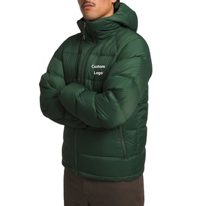 Personnalisé 2025 Hiver Hommes Doudoune Manches Longues Polyester Imperméable À Capuche Outwear Bulle Manteau Style High Street Look - Product Image 2