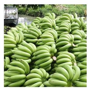 Las mejores bananas verdes 100% de alta calidad, bananas Cavendish frescas, precios económicos desde el Reino Unido para ventas calientes. - Product Image 5