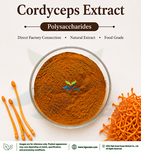 Suministro directo de fábrica HGO de extracto de micelio Cordyceps natural puro (grado alimenticio) Especificación Cordyceps polisacáridos 50% - Product Image 1