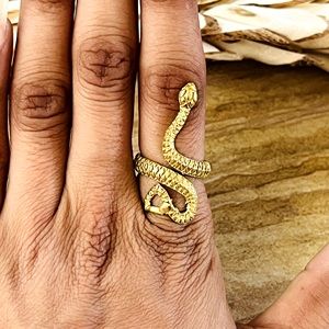 Anillo de Serpiente de Diseño Moderno, Joyería Boho de Latón para Mujer, Chapado en Oro de 18k, Anillo de Serpiente Punk para Venta al por Mayor/OEM/ODM - Product Image 6