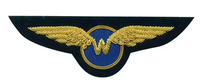 Patch brodé sur mesure de luxe de haute qualité avec logo, en fil de bullion, fait main, résistant à l'eau, pour vêtements, vestes et casquettes