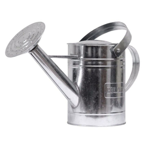 Arrosoir classique en acier argenté, vente en gros, arrosoir en métal galvanisé avec tête de pulvérisation pour plantes d'intérieur et d'extérieur - Product Image 2