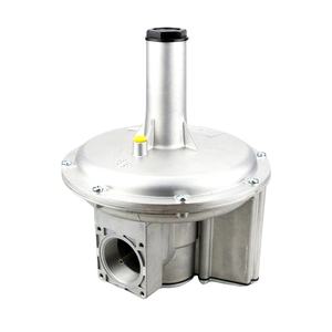 Regulador de presión de aluminio del Gobernador de gas Giuliani OR Italy FGDR40 con filtro incorporado La válvula electromagnética - Product Image 1