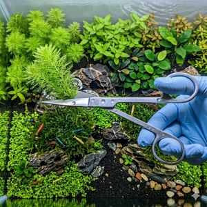 Tijeras de 10 Pulgadas para Cortar Plantas Acuáticas, Tijeras de Acero Inoxidable para Acuarios, Venta al por Mayor de Fábrica - Product Image 1