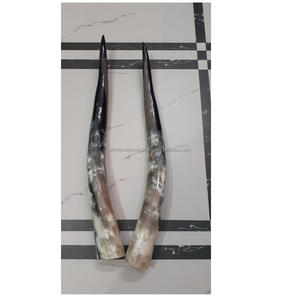 Bocina de búhos y de vaca, claxon blanco y negro, uso decorativo para el hogar, color natural, precio bajo, 1 par - Product Image 3