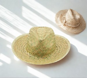 Vietnam Fabrication Chapeau De Paille À Large Bord Voyage Packable Design Usine Directe Pour Les Importateurs De Chine - Product Image 1
