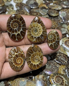 Cabochons en ammonites fossiles naturels de formes variées pour pendentifs et bagues en argent, et pierres fossiles de haute qualité en vrac pour l'exportation mondiale - Product Image 2
