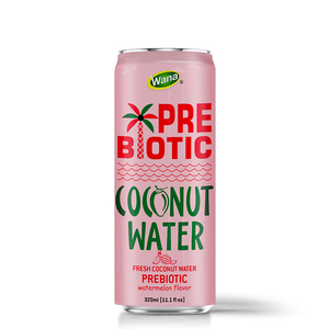 Wana Puré de Agua de Coco Prebiótica 320ml Sabor Naranja Agua de Coco Fresca con Fibra Prebiótica en Envase de Cartón - Product Image 3
