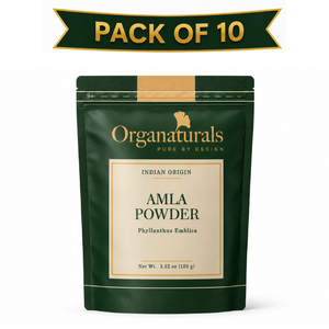 Polvo de Amla a Granel, Polvo de Fruta Premium para Procesamiento de Alimentos y Formulaciones Herbales - Product Image 1