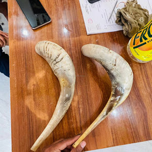 Shofar en corne de bélier fait main de qualité supérieure 2024, motif ange sculpté, étanche, taille personnalisable, art israélien, objet de collection - Product Image 1