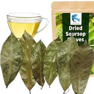 HOJAS DE GRAVIOLA DE SOURSOP SECAS-VENTA CALIENTE DE VIETNAM CON CALIDAD PREMIUM y PRECIO COMPETITIVO - Product Image 1