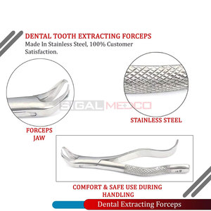 Premium German Stainless Steel Manual Dental Tooth Extracting Forceps #16S Professional Oral Surgery Extraction Surgical - Product Image 4
