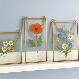 Home Decor Glass & Metal Hanging <b>Picture</b> <b>Frame</b> <b>for</b> <b>Wall</b> Decoration, with 2 Sides Glass Customized Decorative Photo <b>Frames</b> - Product Image 1