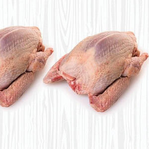 Pigeons congelés de qualité d'exportation certifiée, emballés pour la distribution en gros - Product Image 6