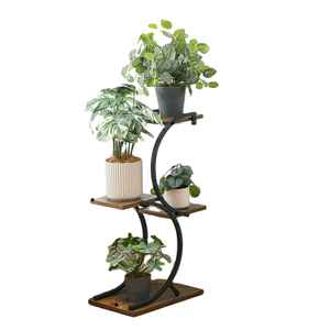 Soporte de Madera Resistente para Plantas, Estante de Exhibición de Macetas de Múltiples Niveles para Interiores y Exteriores, para Hogar y Jardín - Product Image 2