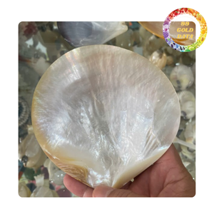 Premium Polished Shell Plate Mother of Pearl Decorative Plate for Home and Wedding Gift - Product Image 5