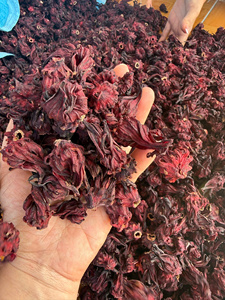 Fleurs d'hibiscus fraîches élégantes, ingrédient en vrac pour thé de roselle, thé en fleurs, pour boissons, tisanes, desserts, transformation alimentaire, Vietnam - Product Image 4