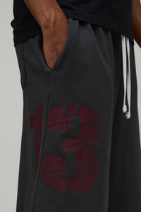 Screen Printed <b>Custom</b> Men’s Cotton Fleece Shorts Personalized Graphic Casual Streetwear Knee Length Drawstring Wear Look - Product Image 3