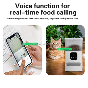 Stock Ready Productos Para Mascotas 3L Durable Acero inoxidable Grabación de voz Pet Bowling & Feeders Alimentador automático para mascotas Temporizador - Product Image 6