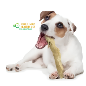 Eco2go Vietnam – Meilleure vente en gros de bâtonnets à mâcher pour chien en bois de café / Jouet à mâcher en bois de café pour chien - Product Image 6